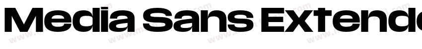 Media Sans Extended Bold字体转换